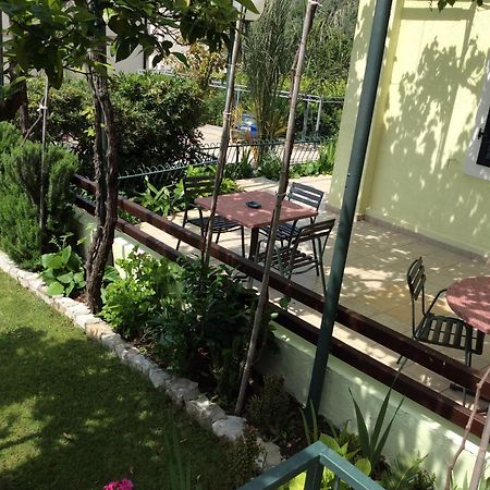 Apartments Simo Petrovac Εξωτερικό φωτογραφία