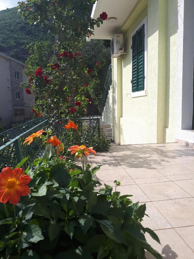Apartments Simo Petrovac Εξωτερικό φωτογραφία