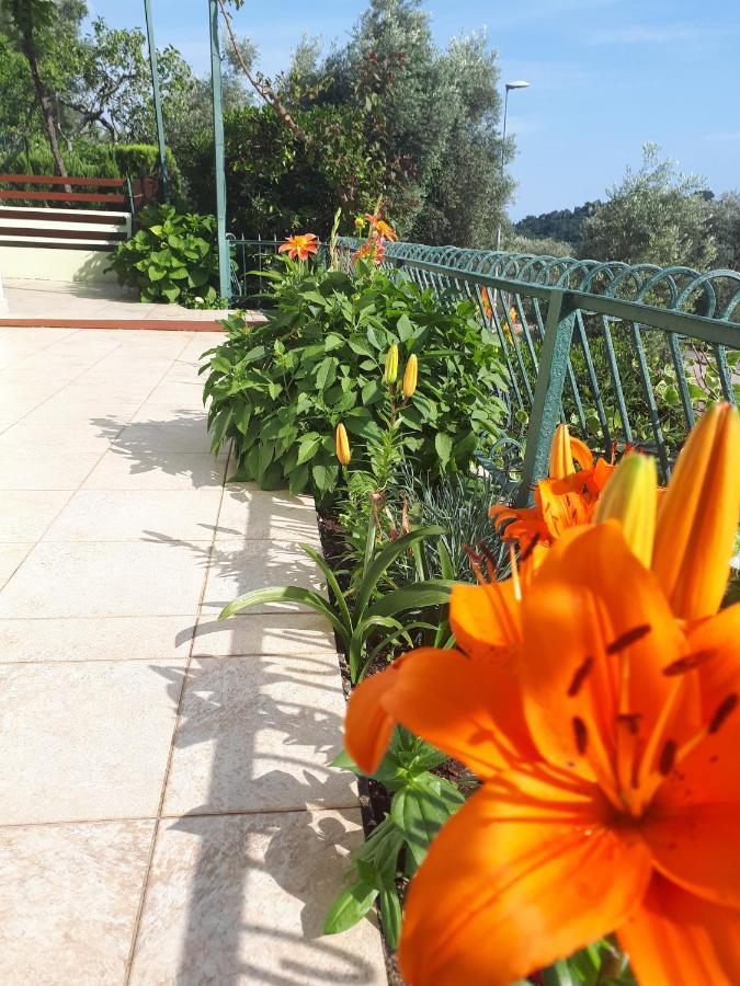 Apartments Simo Petrovac Εξωτερικό φωτογραφία