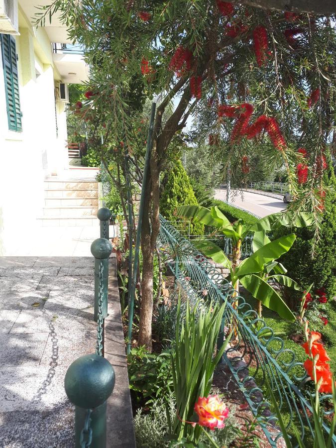 Apartments Simo Petrovac Εξωτερικό φωτογραφία