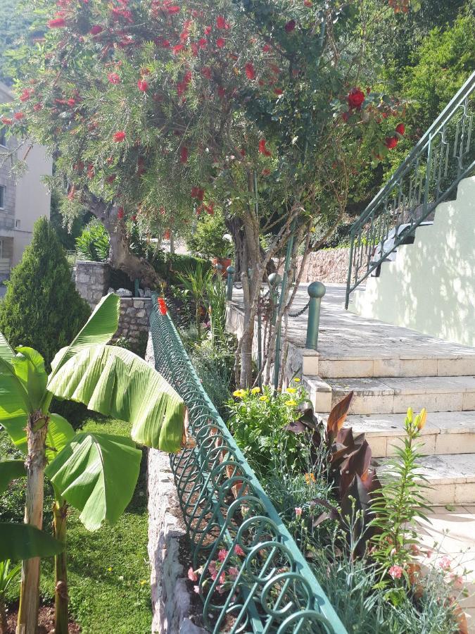 Apartments Simo Petrovac Εξωτερικό φωτογραφία