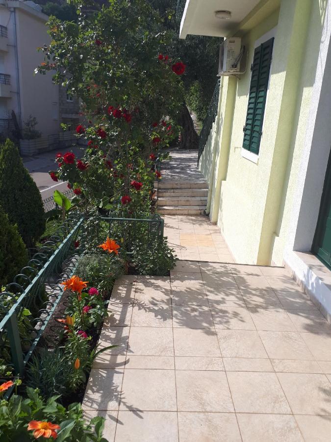 Apartments Simo Petrovac Εξωτερικό φωτογραφία