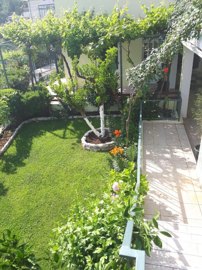 Apartments Simo Petrovac Εξωτερικό φωτογραφία