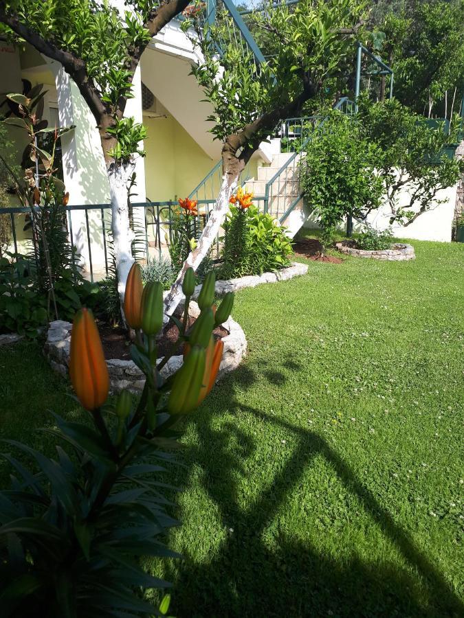 Apartments Simo Petrovac Εξωτερικό φωτογραφία