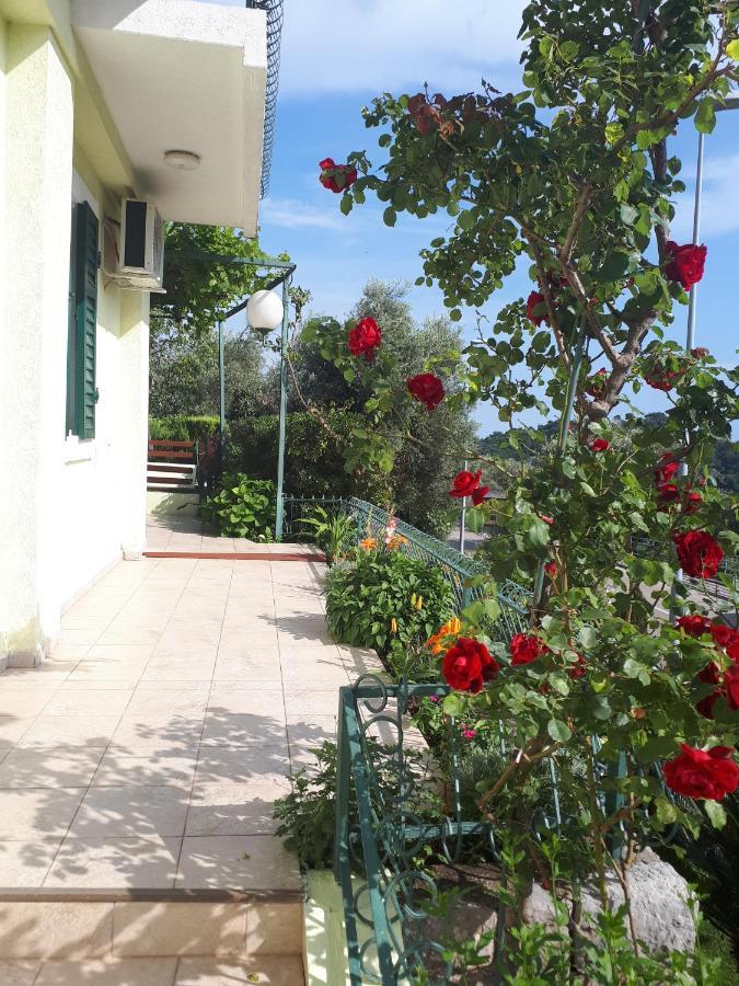 Apartments Simo Petrovac Εξωτερικό φωτογραφία