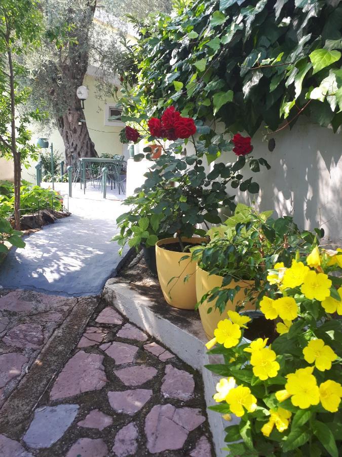 Apartments Simo Petrovac Εξωτερικό φωτογραφία