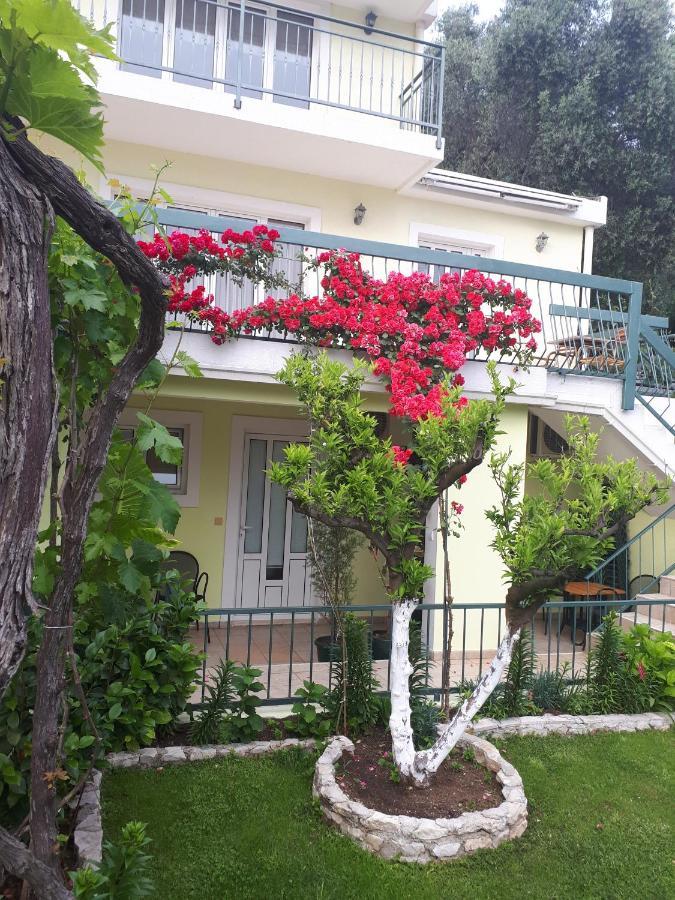 Apartments Simo Petrovac Εξωτερικό φωτογραφία