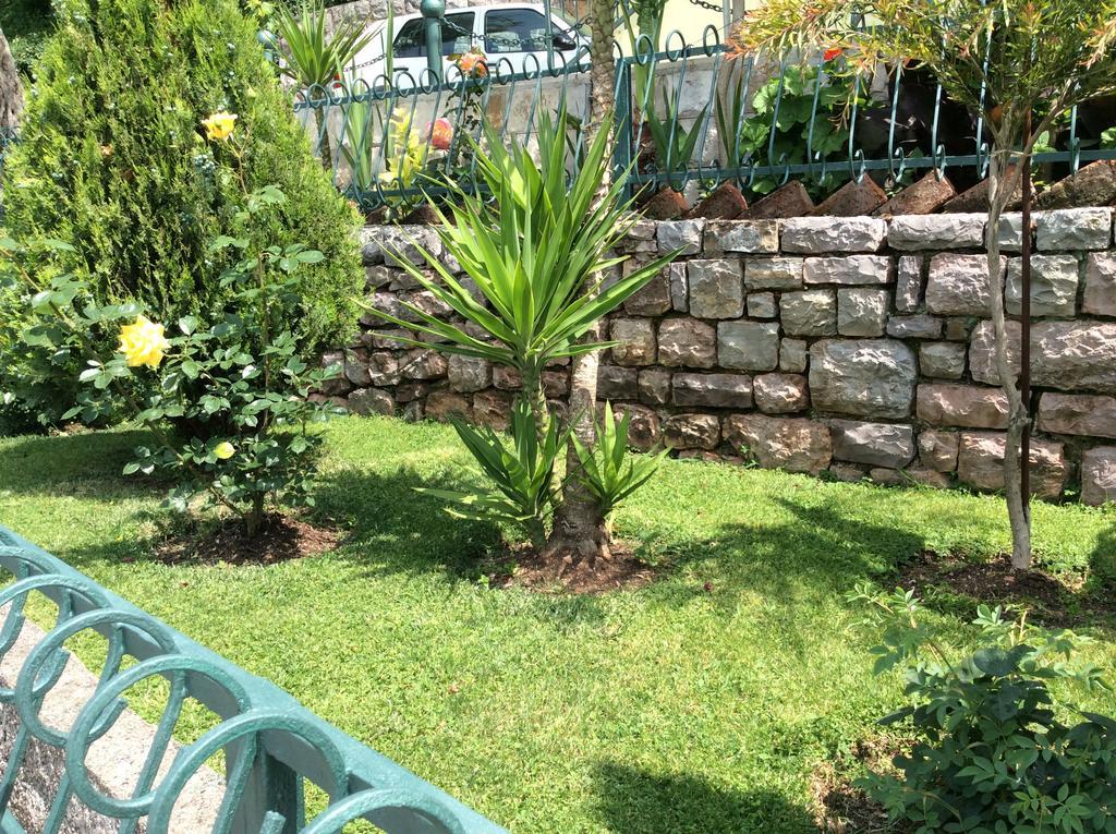 Apartments Simo Petrovac Εξωτερικό φωτογραφία