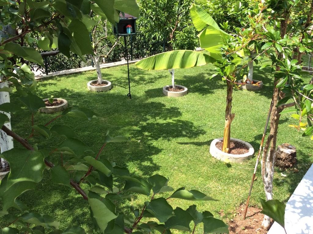 Apartments Simo Petrovac Εξωτερικό φωτογραφία