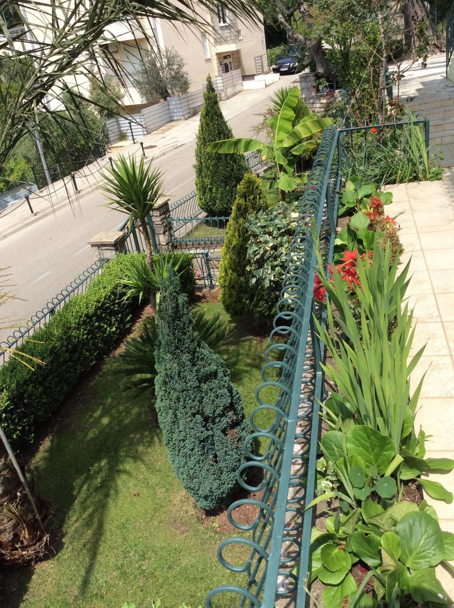 Apartments Simo Petrovac Εξωτερικό φωτογραφία