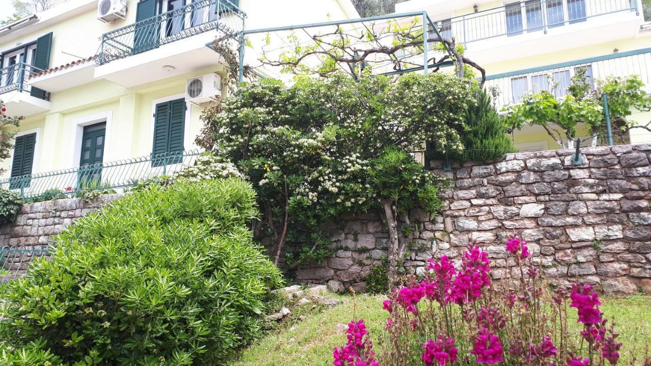 Apartments Simo Petrovac Εξωτερικό φωτογραφία