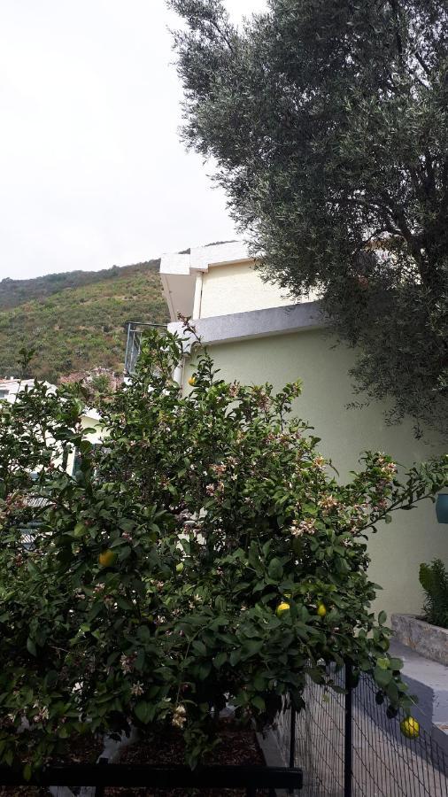 Apartments Simo Petrovac Εξωτερικό φωτογραφία